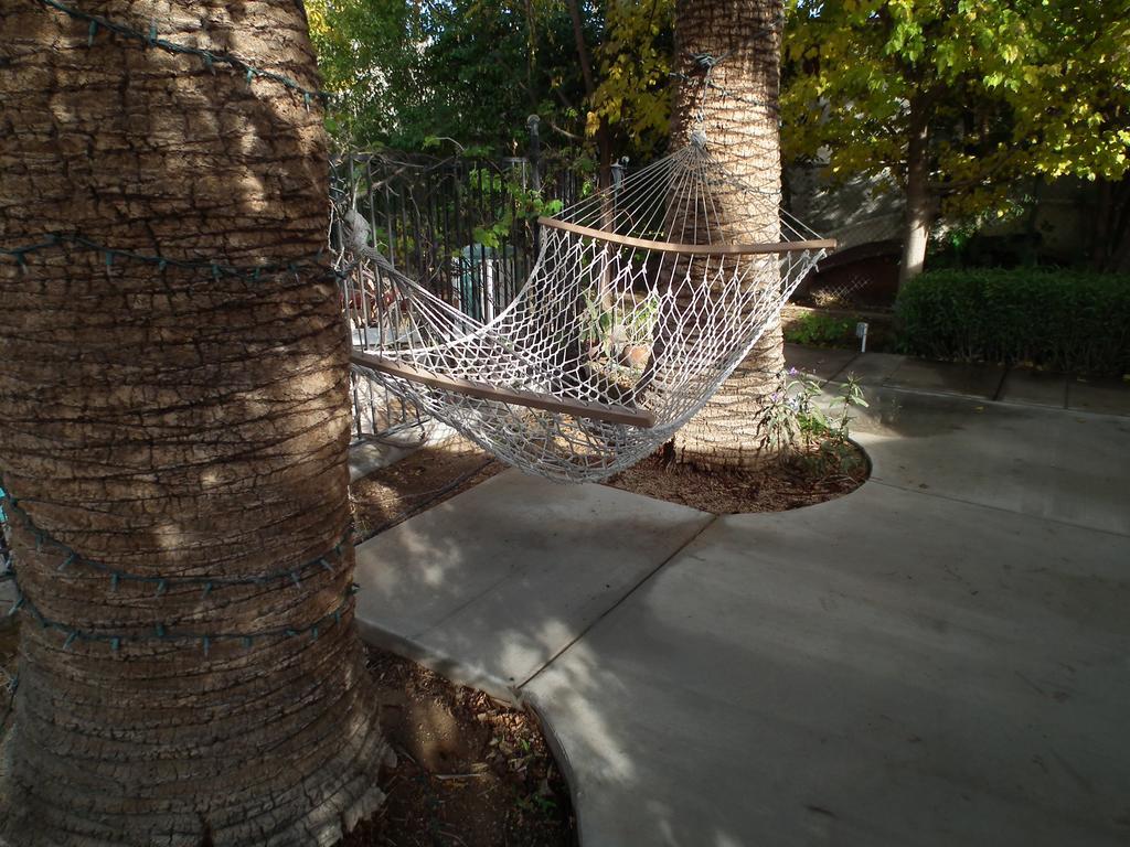 Raz Inn Central Phoenix Exterior photo